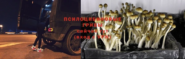 прущий лед Каменногорск