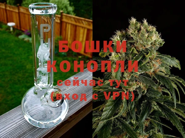 спиды Каменка