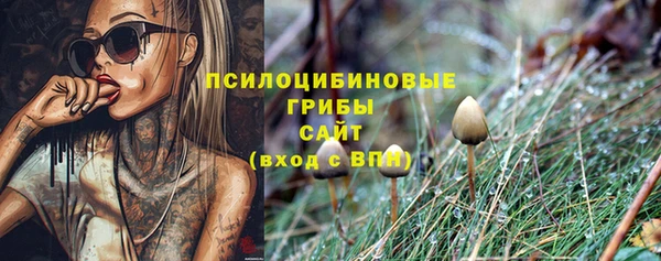 соль курить ск Карталы