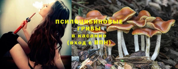 прущий лед Каменногорск