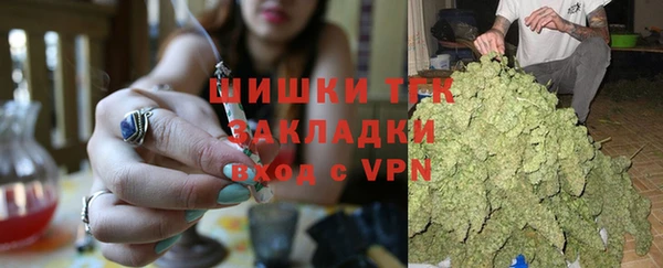 спиды Каменка