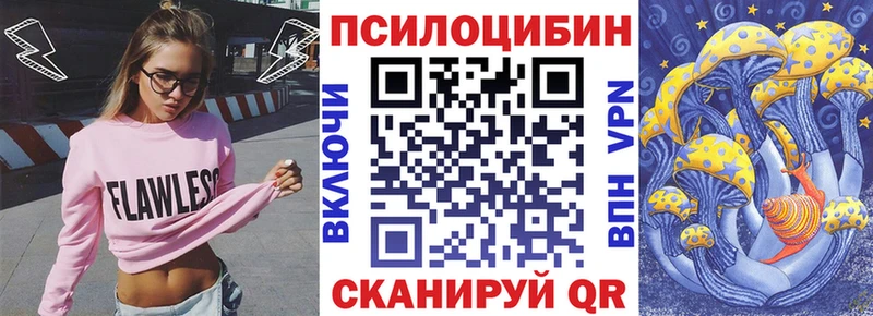 Галлюциногенные грибы Cubensis  Купить где  Грайворон 